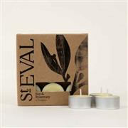 Bay &amp; Rosemary Scented Tealights