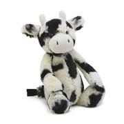 Bashful calf