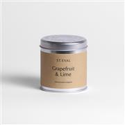 Grapefruit &amp; Lime Scented Tin Candle