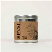 Winter Thyme Scented Tin Candle