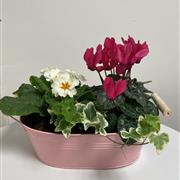 Florist Choice Spring Planter medium