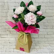Pretty Peonies 