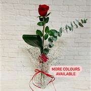 Cupid Rose in Glass Vase