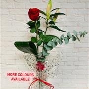 Adore Rose &amp; Lily in Glass Vase