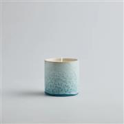 Wild Gorse Sea &amp; Shore Pot