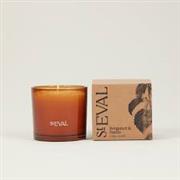 Bergamot &amp; Nettle Amber Glass Candle 