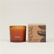 Tranquility Amber Glass Candle 
