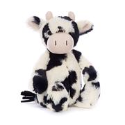 Bashful Calf 