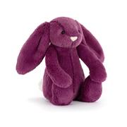 Bashful Allium Bunny 