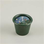 Winter Thyme, Christmas Stardust Pot