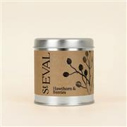 Hawthorn &amp; Berries Tin Candle 