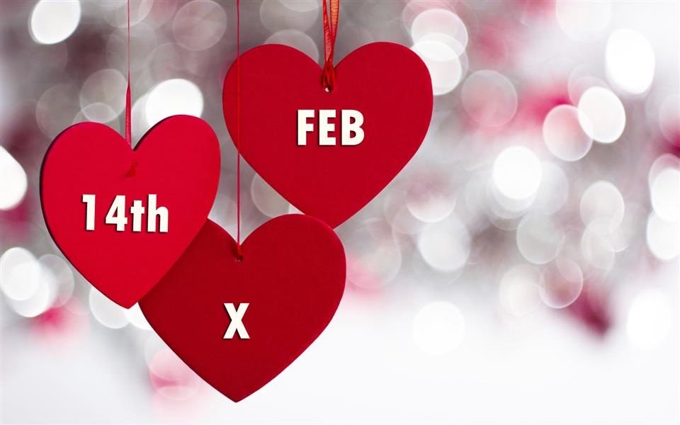 Valentines Day Flowers